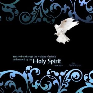 Meet your Posher, Virginia